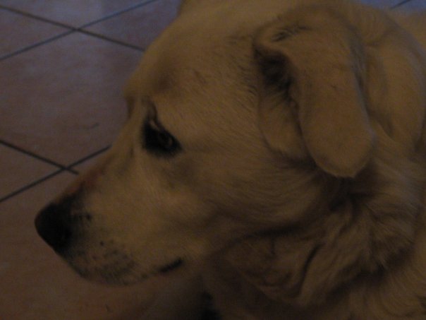 LUNA (Lex) - 31/03/2012